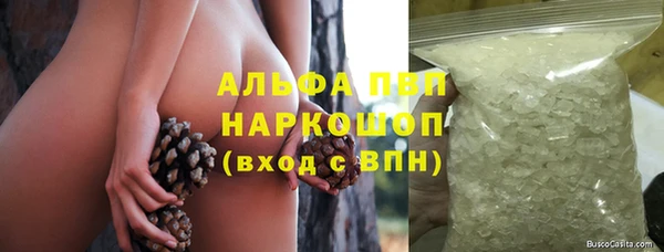 ГАЛЛЮЦИНОГЕННЫЕ ГРИБЫ Вязники