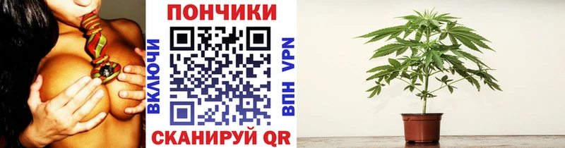Бошки Шишки OG Kush  где купить наркотик  Горнозаводск 